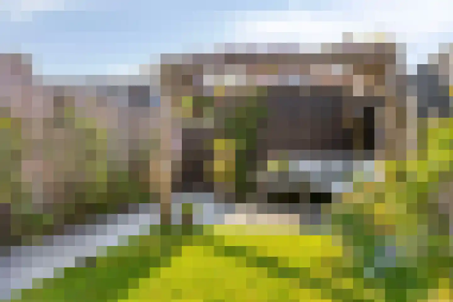 Toendrameer 85 Houten thumbnail 27