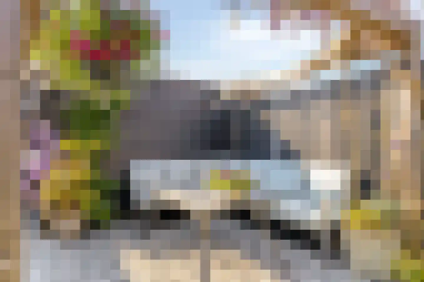 Toendrameer 85 Houten thumbnail 28