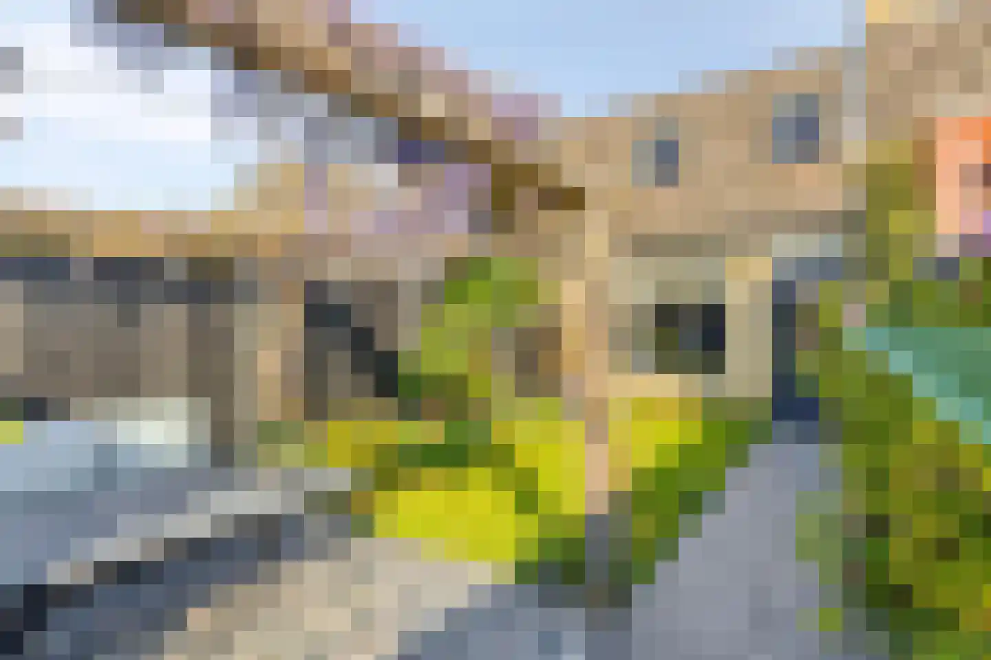 Toendrameer 85 Houten thumbnail 30