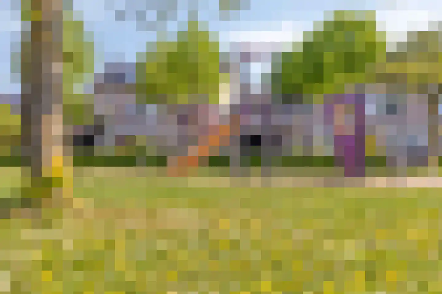 Toendrameer 85 Houten thumbnail 32