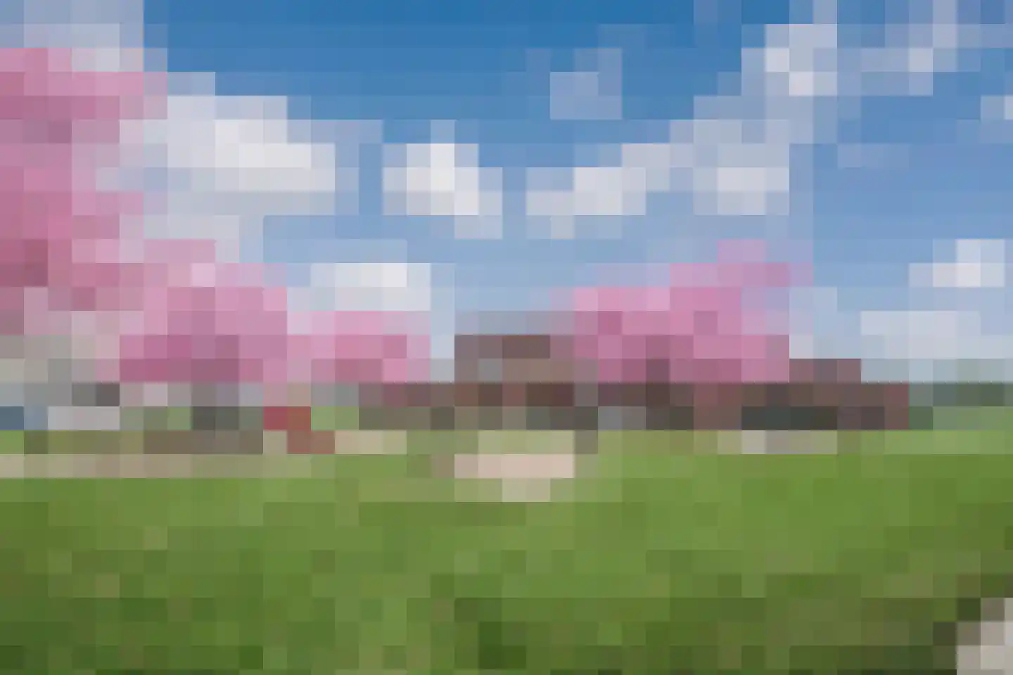 Toendrameer 85 Houten thumbnail 33