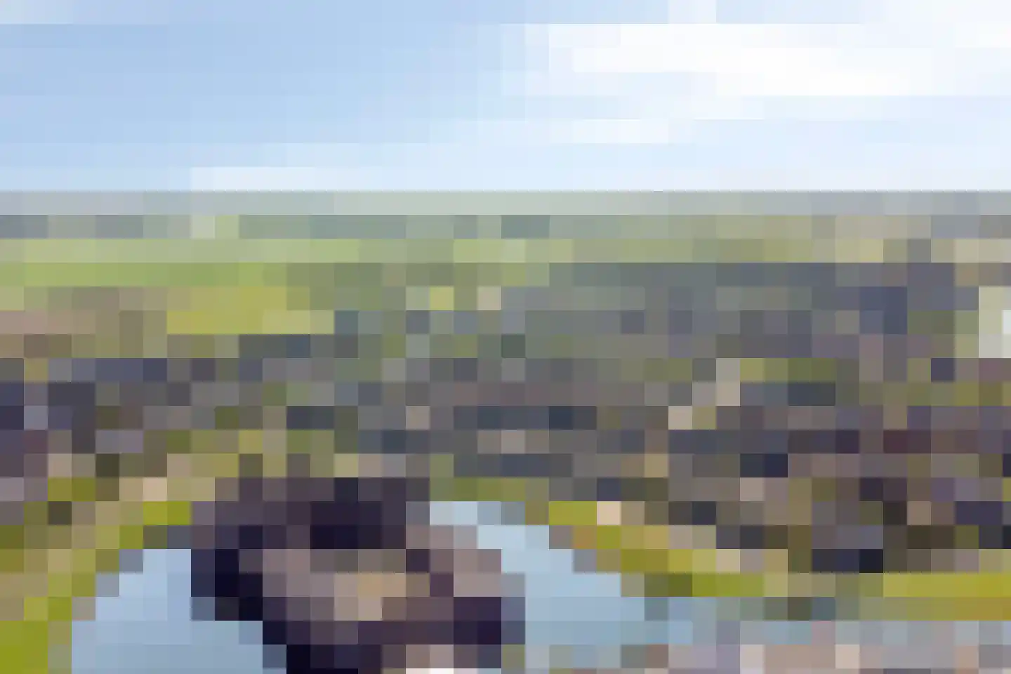 Toendrameer 85 Houten thumbnail 38