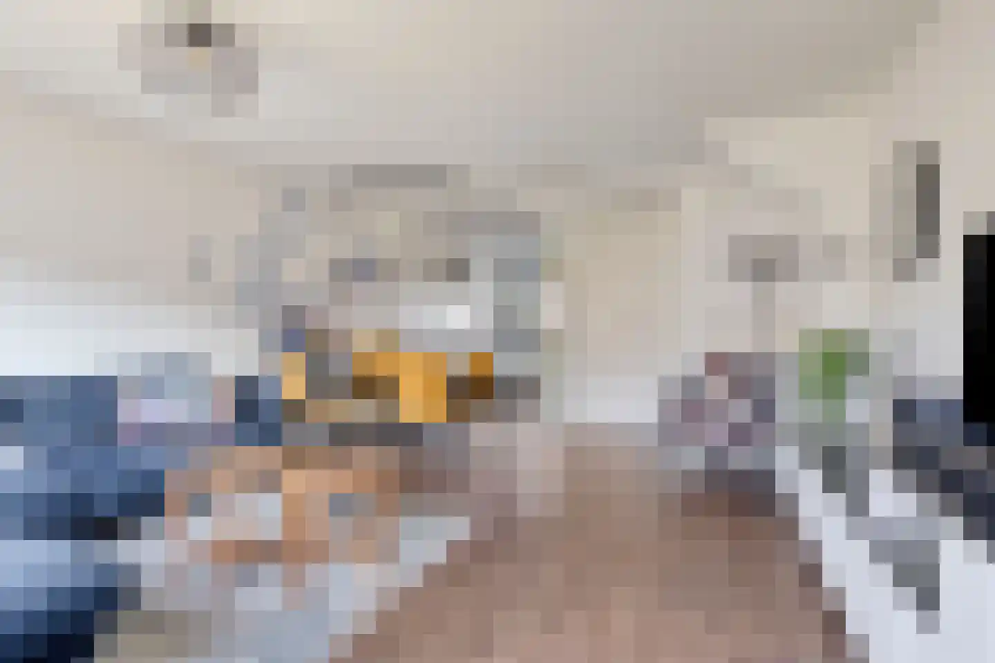 Toendrameer 85 Houten thumbnail 7