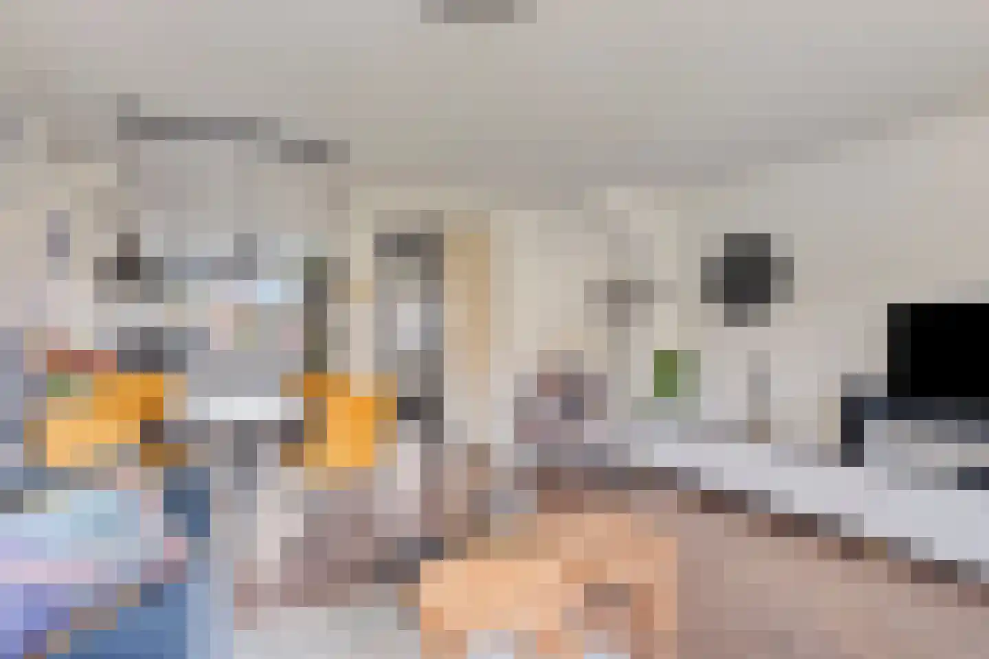 Toendrameer 85 Houten thumbnail 8