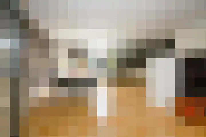 Toendrastraat 5 Purmerend thumbnail 13