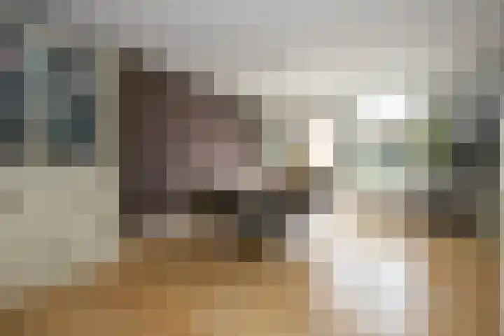 Toendrastraat 5 Purmerend thumbnail 18
