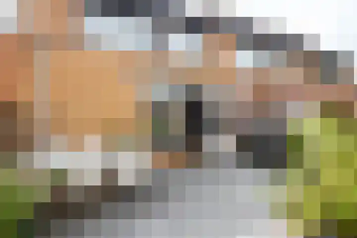 Toendrastraat 5 Purmerend thumbnail 43