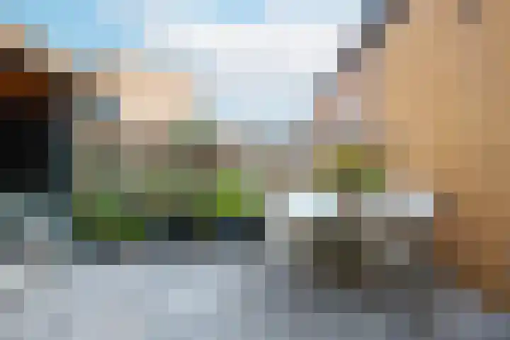 Toendrastraat 5 Purmerend thumbnail 49