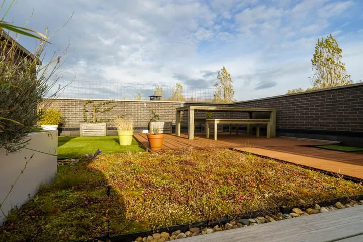 Toenzalstraat 13 Almere thumbnail 49