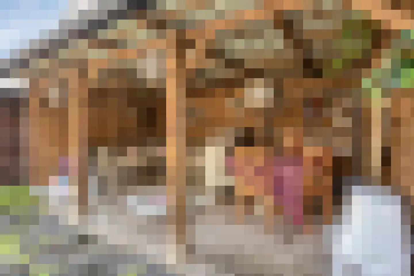 Toepad 10 Hendrik-Ido-Ambacht thumbnail 23