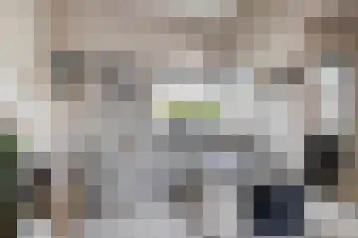 Toepad 16 Hendrik-Ido-Ambacht thumbnail 10