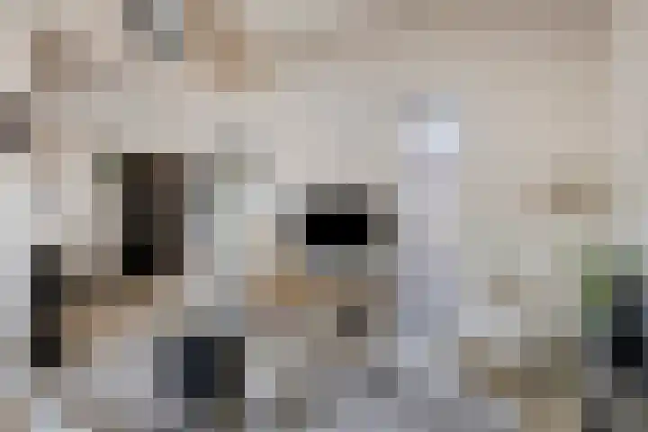 Toepad 16 Hendrik-Ido-Ambacht thumbnail 12