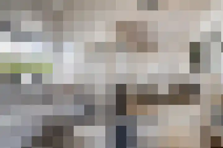 Toepad 16 Hendrik-Ido-Ambacht thumbnail 14