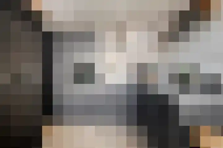 Toepad 16 Hendrik-Ido-Ambacht thumbnail 18