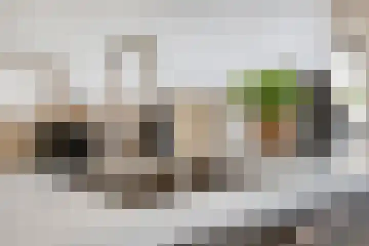 Toepad 16 Hendrik-Ido-Ambacht thumbnail 22