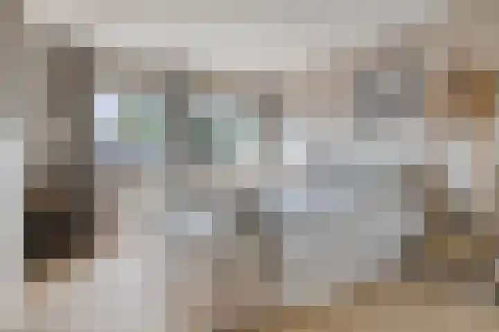Toepad 16 Hendrik-Ido-Ambacht thumbnail 24