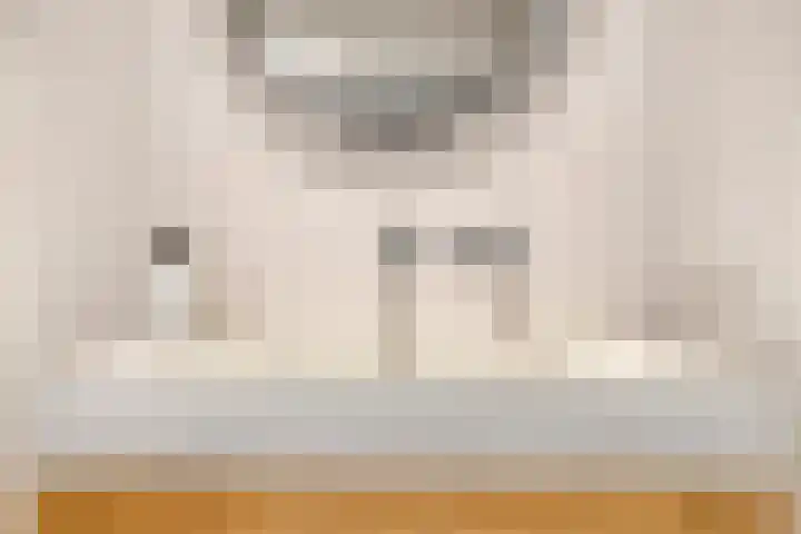 Toepad 16 Hendrik-Ido-Ambacht thumbnail 29