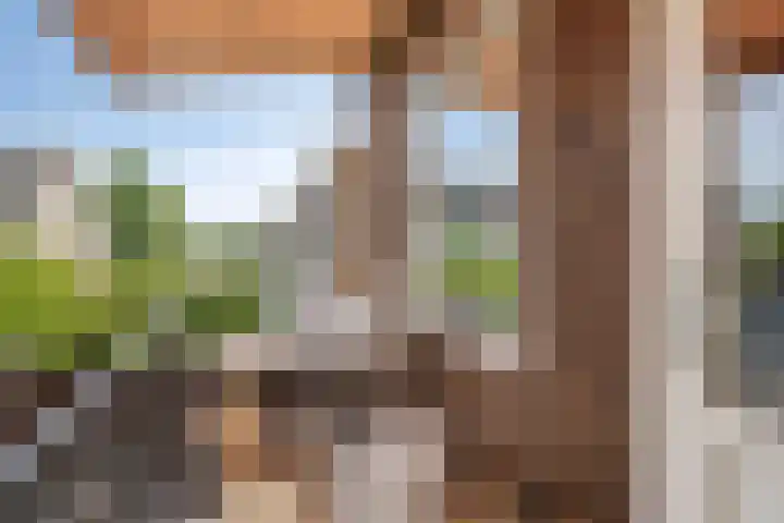 Toepad 16 Hendrik-Ido-Ambacht thumbnail 33