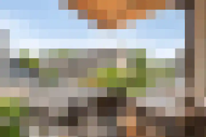 Toepad 16 Hendrik-Ido-Ambacht thumbnail 34