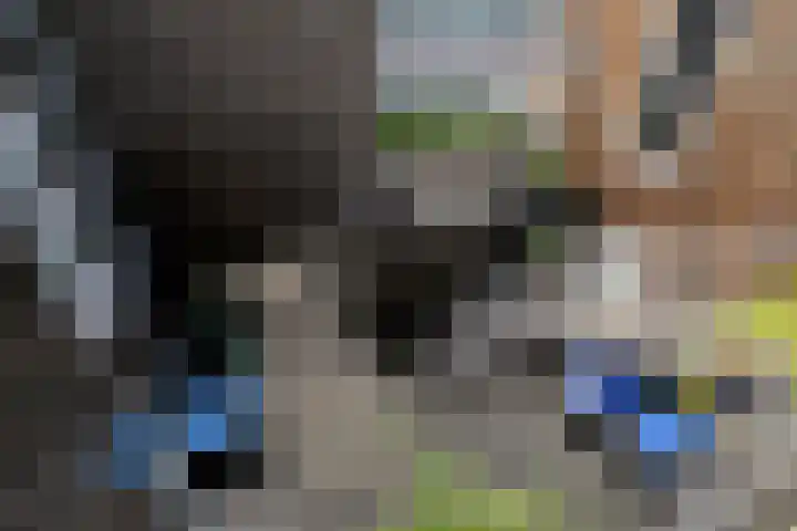 Toepad 16 Hendrik-Ido-Ambacht thumbnail 37
