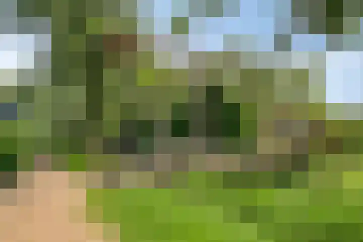 Toepad 16 Hendrik-Ido-Ambacht thumbnail 39