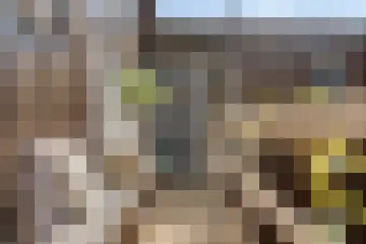 Toepad 16 Hendrik-Ido-Ambacht thumbnail 4