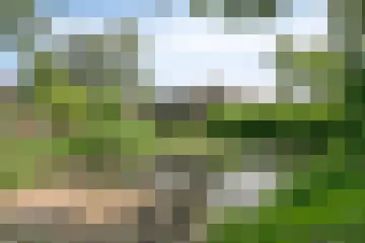 Toepad 16 Hendrik-Ido-Ambacht thumbnail 40