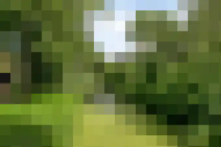Toepad 16 Hendrik-Ido-Ambacht thumbnail 41