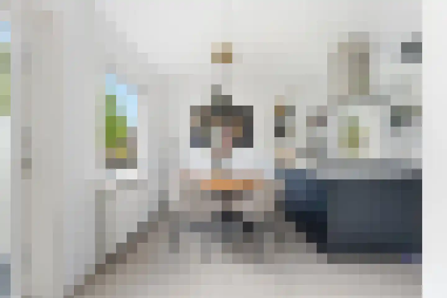 Toepad 17 Hendrik-Ido-Ambacht thumbnail 10