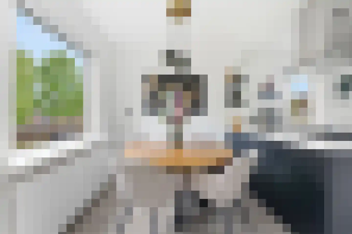 Toepad 17 Hendrik-Ido-Ambacht thumbnail 12