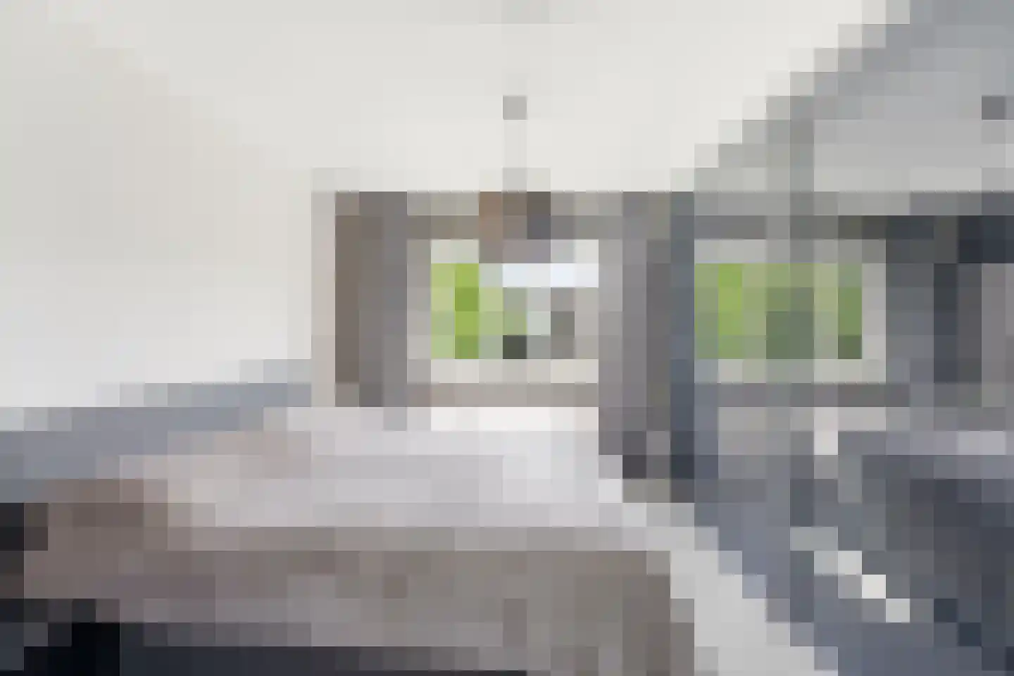 Toepad 17 Hendrik-Ido-Ambacht thumbnail 21
