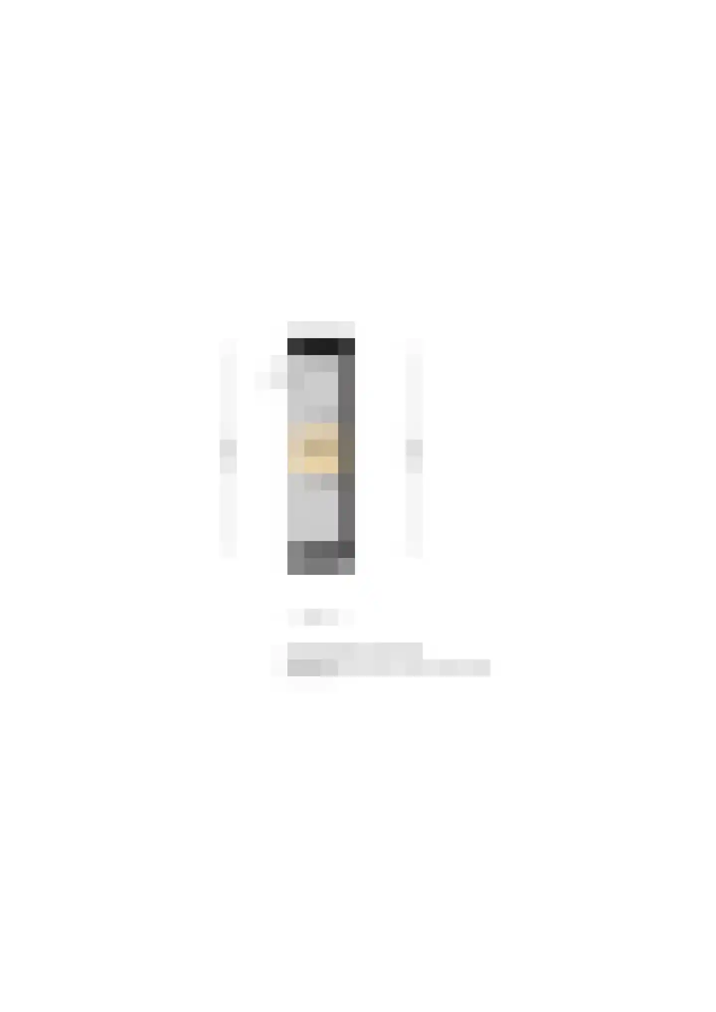 Toepad 17 Hendrik-Ido-Ambacht thumbnail 32