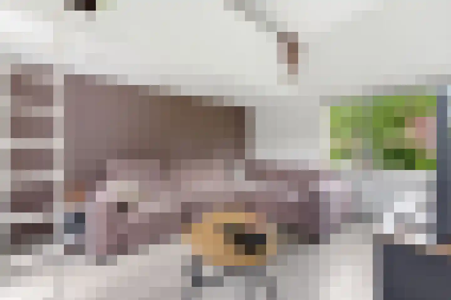 Toepad 17 Hendrik-Ido-Ambacht thumbnail 7