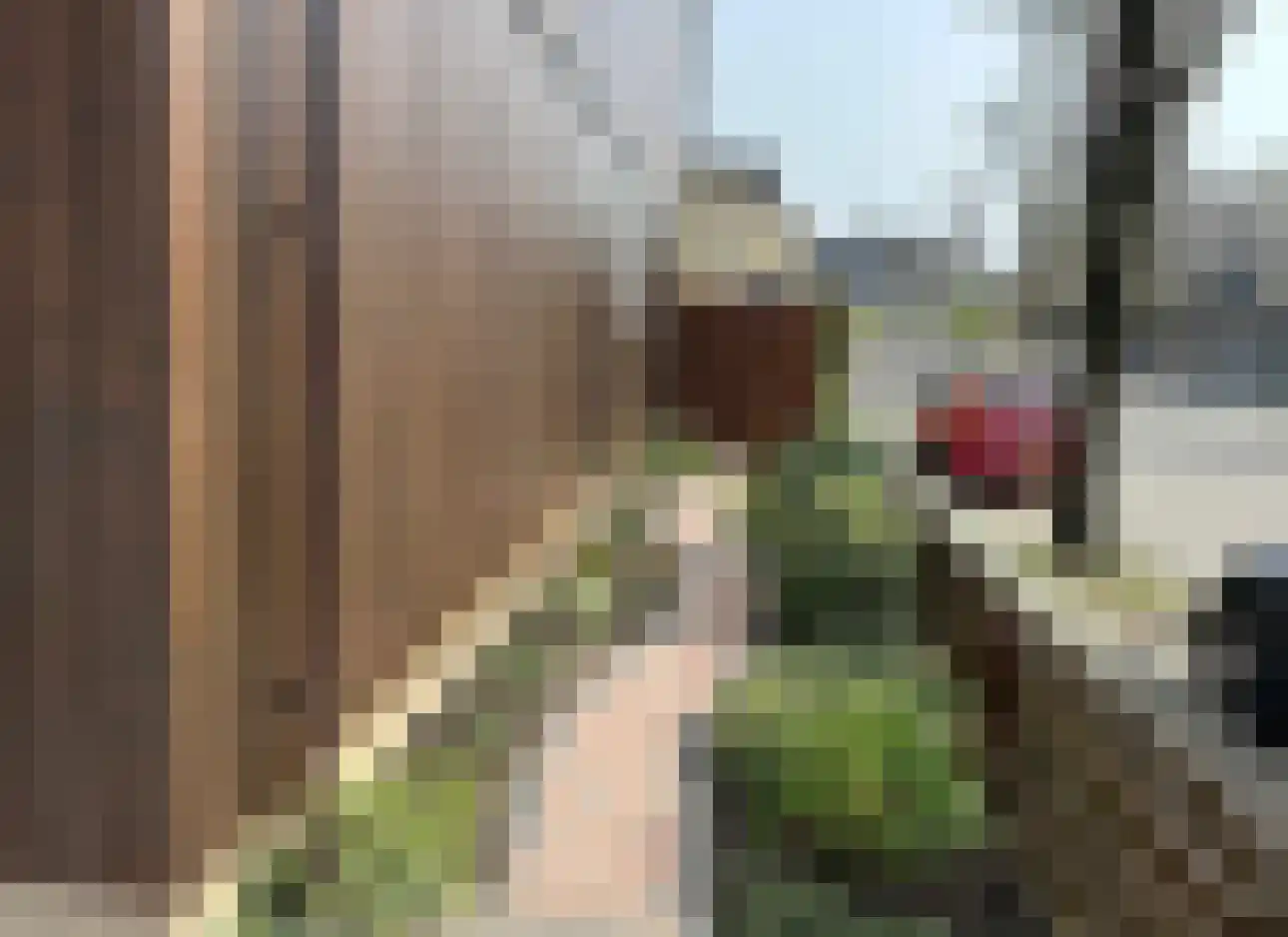 Toepad 2 Hendrik-Ido-Ambacht thumbnail 30