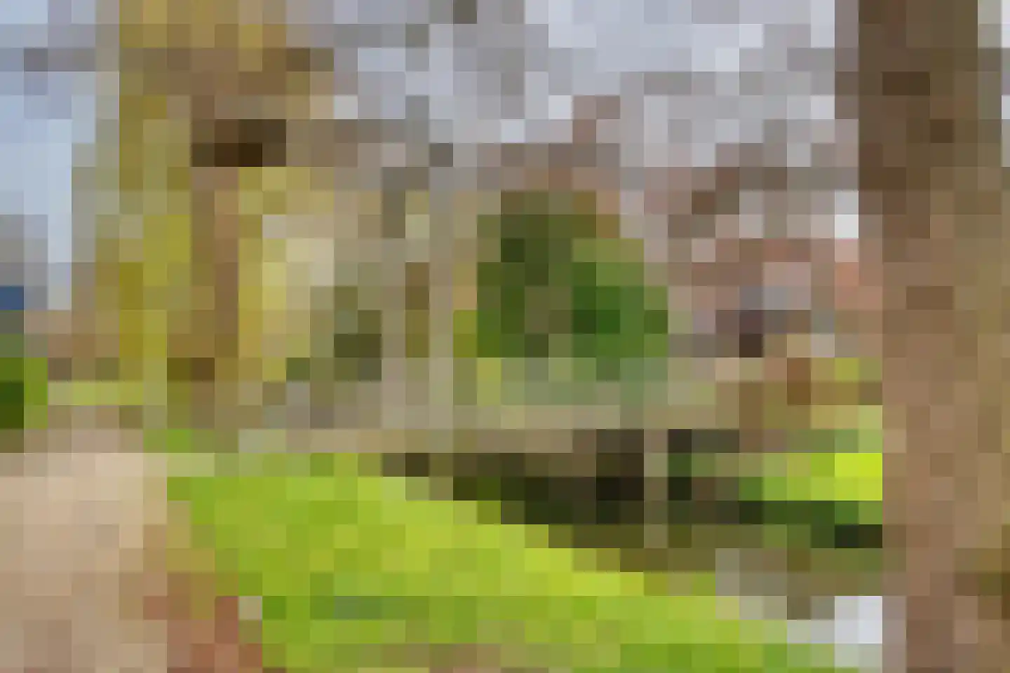 Toepad 2 Hendrik-Ido-Ambacht thumbnail 32