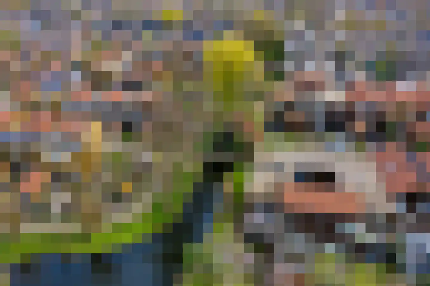 Toepad 2 Hendrik-Ido-Ambacht thumbnail 34