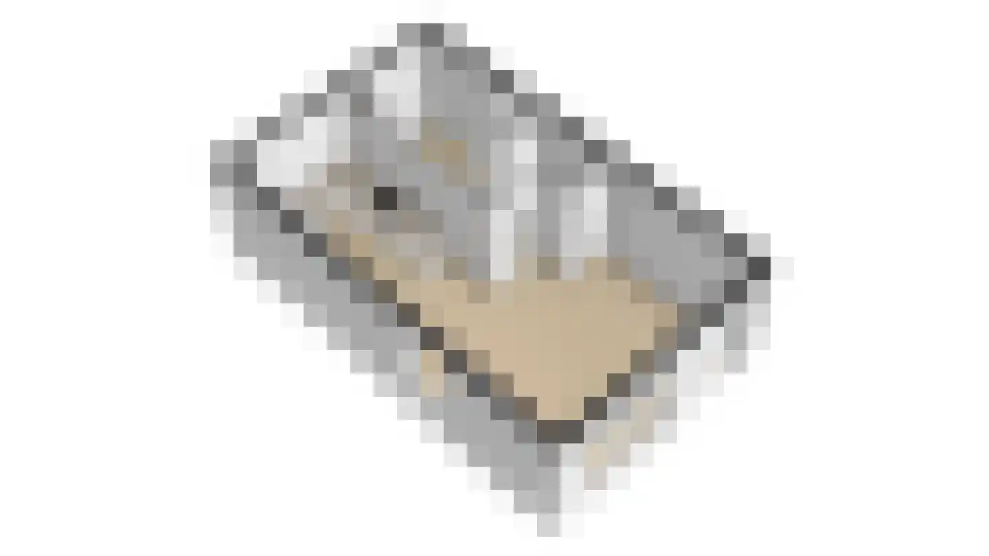 Toepad 2 Hendrik-Ido-Ambacht thumbnail 39