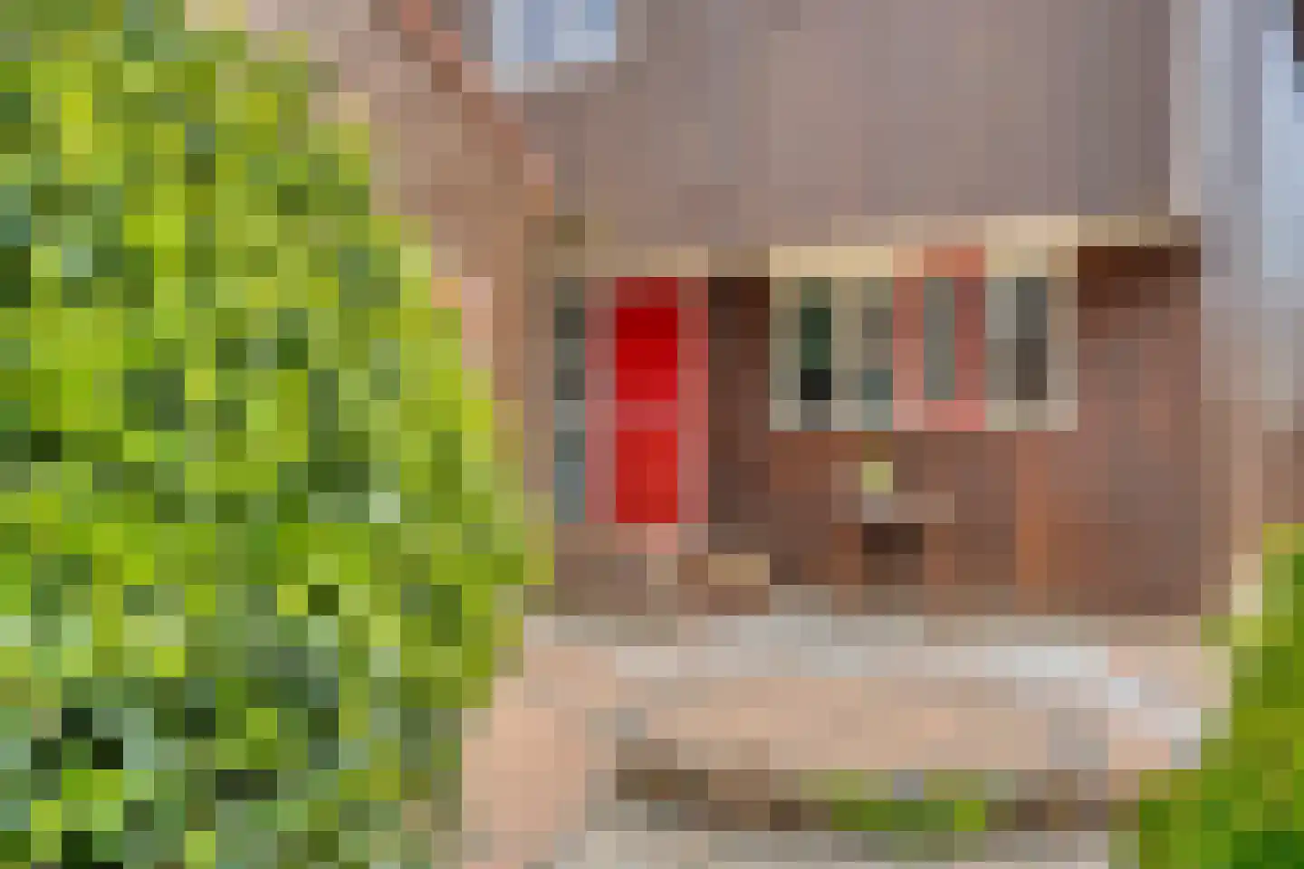 Toepad 2 Hendrik-Ido-Ambacht thumbnail 8