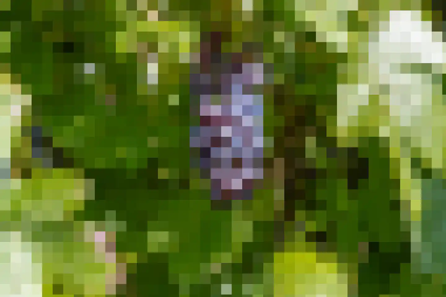 Toepadweg 45 Zaltbommel thumbnail 68
