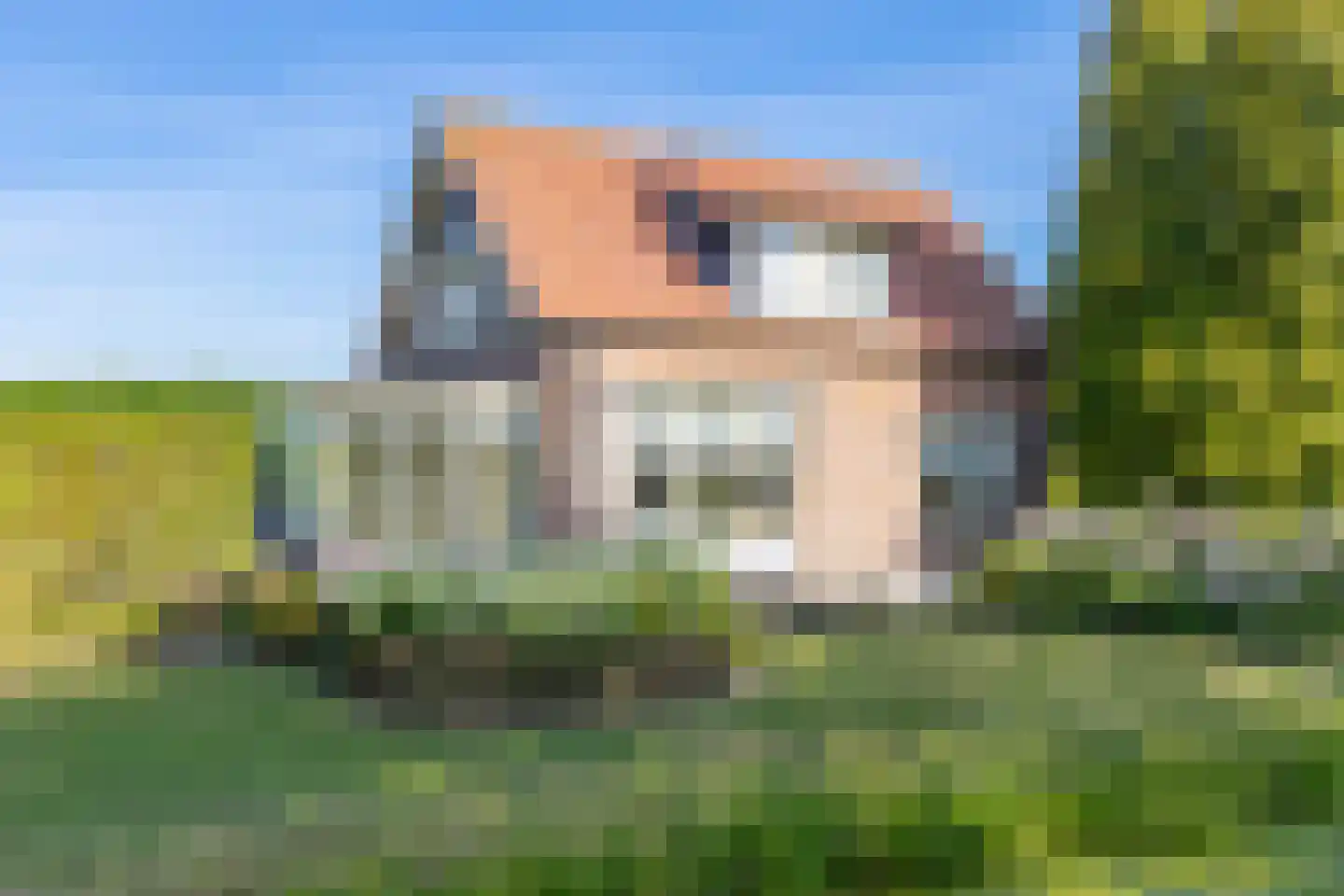 Toepadweg 45 Zaltbommel thumbnail 75