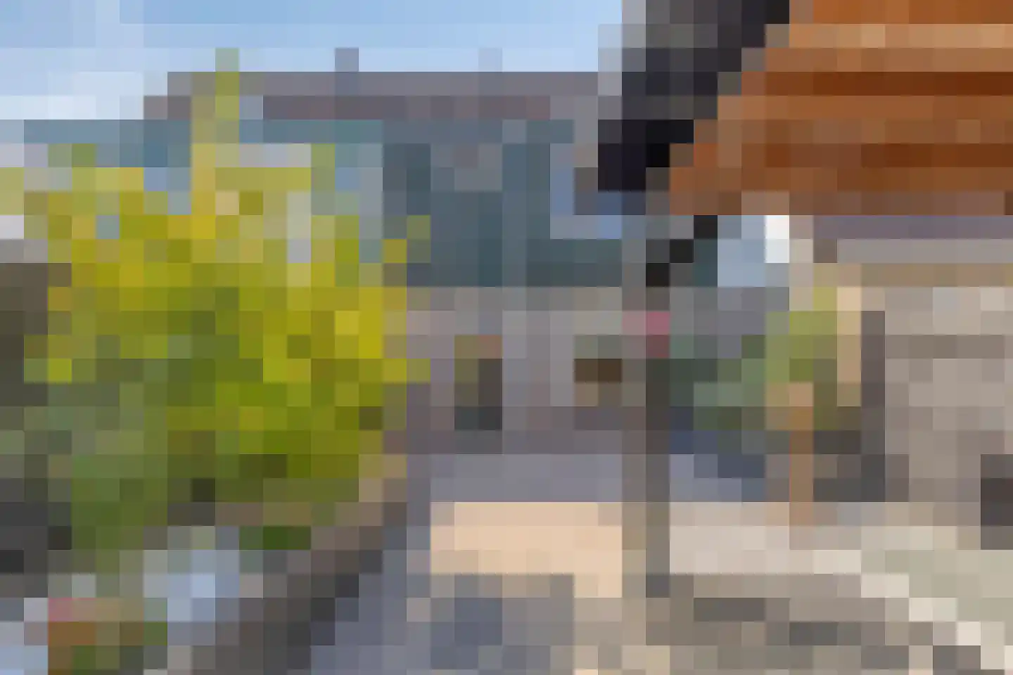 Toereppel 16 Enkhuizen thumbnail 24
