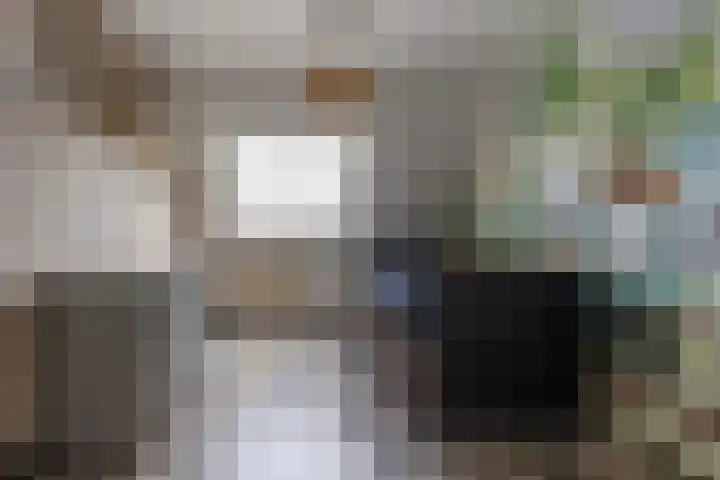 Toereppel 42 Enkhuizen thumbnail 30