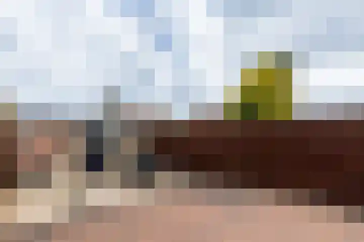 Toereppel 42 Enkhuizen thumbnail 47