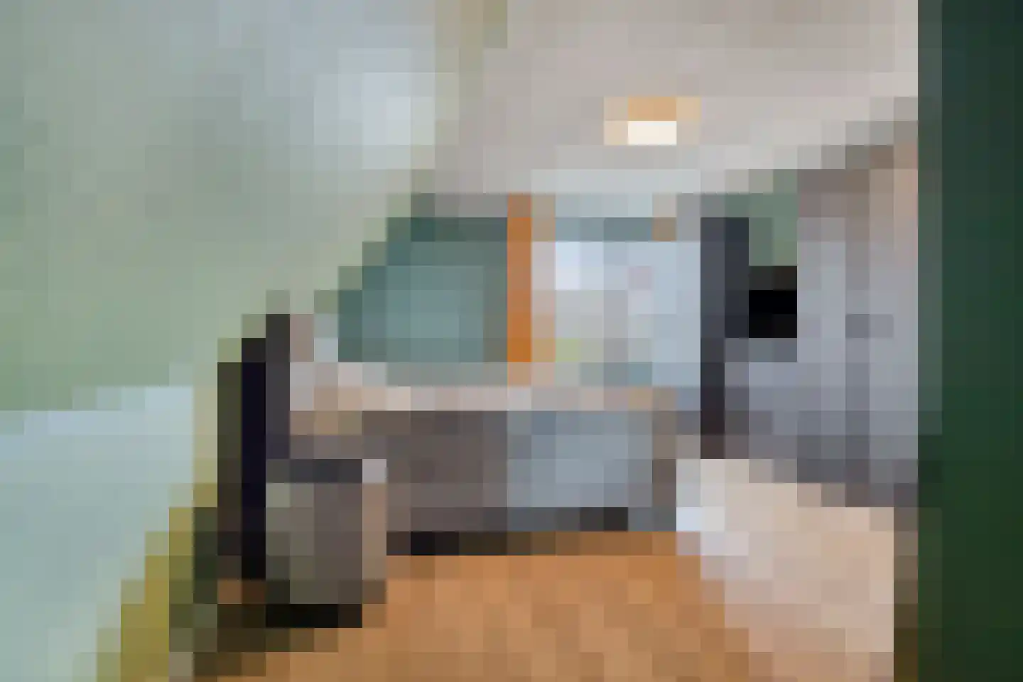 Toermalijn 15 Roelofarendsveen thumbnail 10