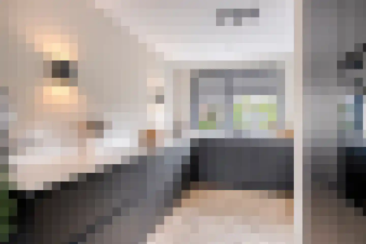 Toermalijn 15 Roelofarendsveen thumbnail 7