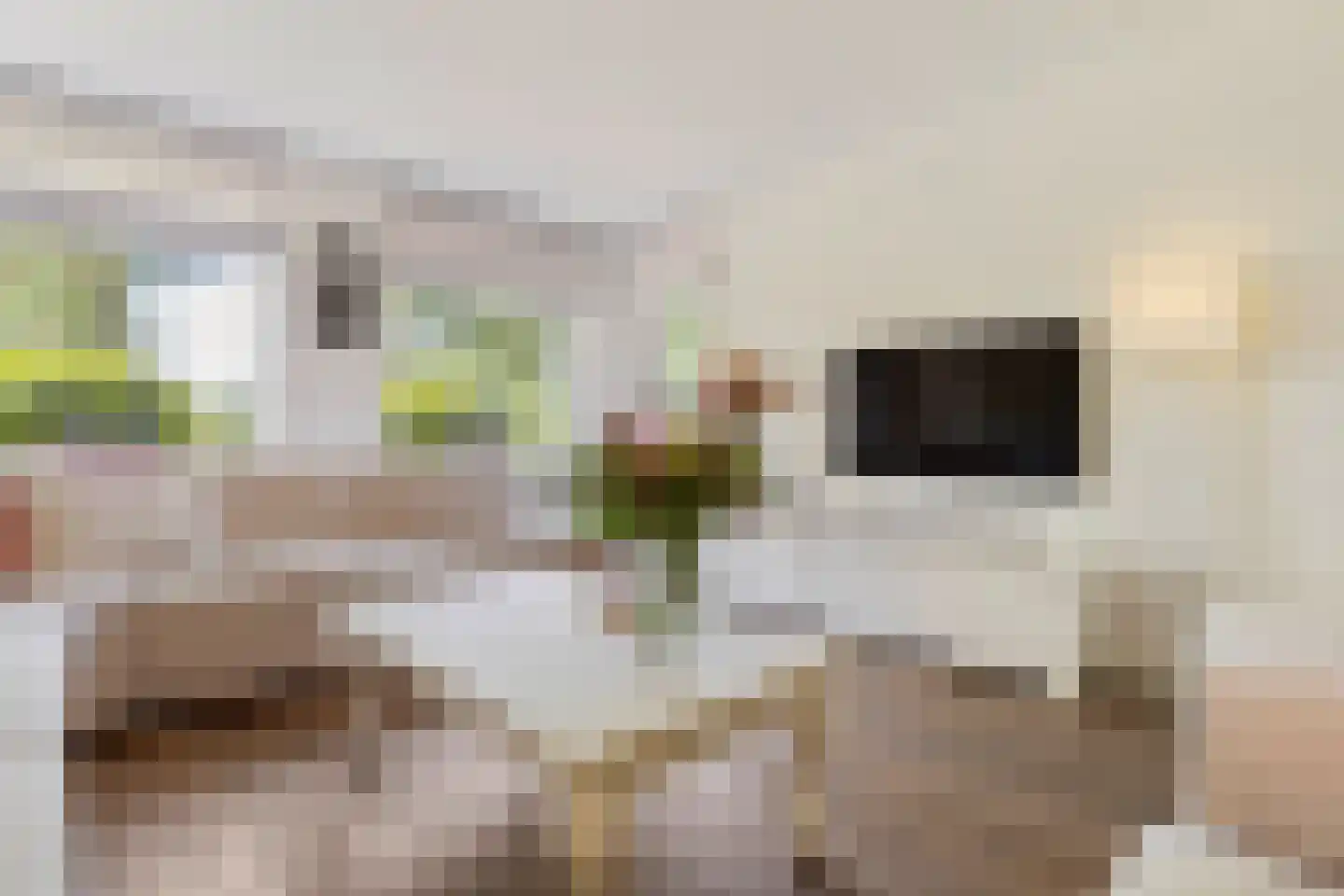 Toermalijn 17 Venlo thumbnail 10