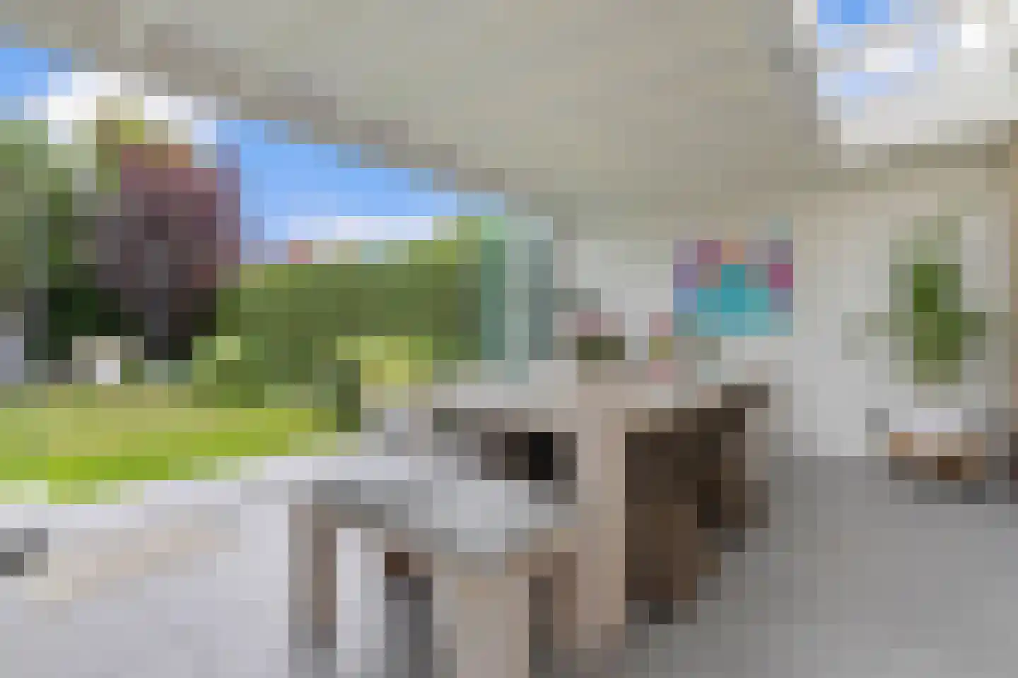 Toermalijn 17 Venlo thumbnail 26