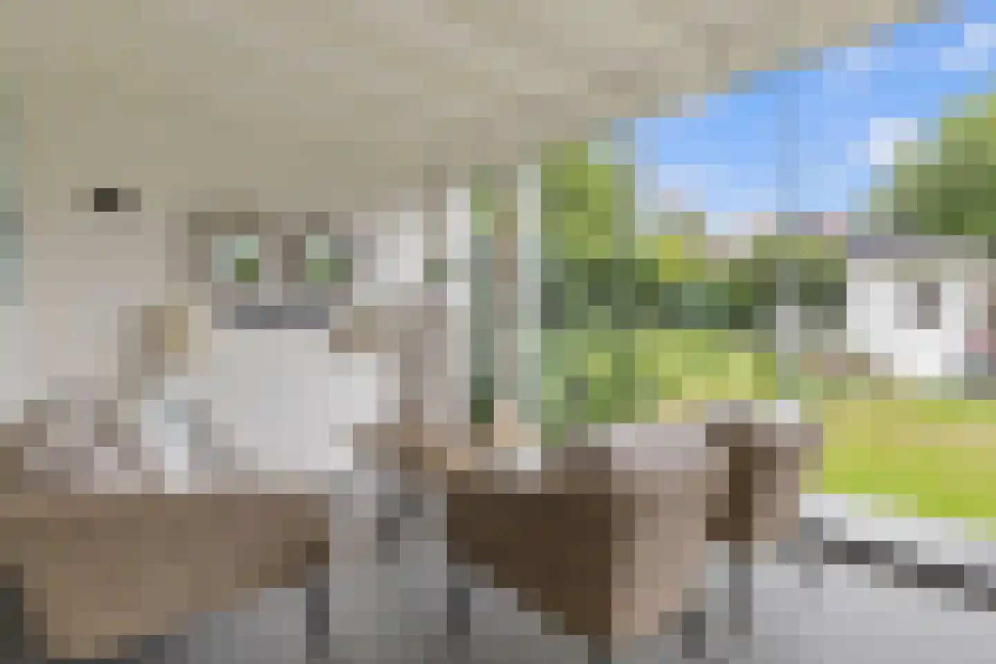 Toermalijn 17 Venlo thumbnail 27