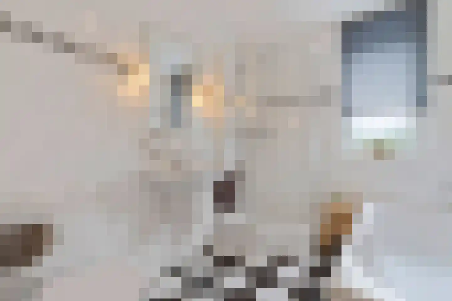 Toermalijn 17 Venlo thumbnail 37