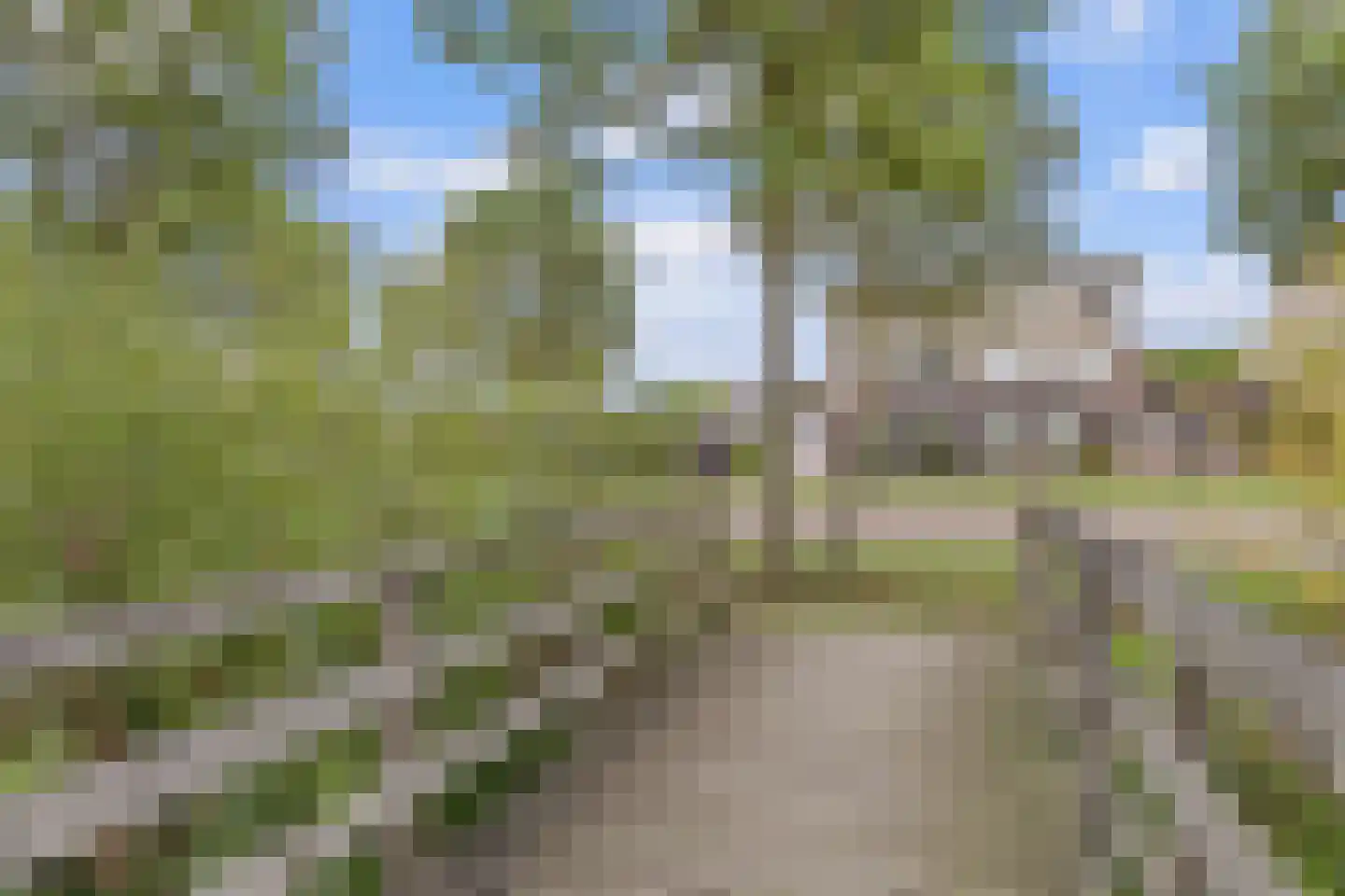 Toermalijn 17 Venlo thumbnail 5